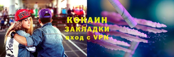 молекула духа Каменка