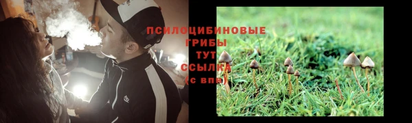 молекула духа Каменка