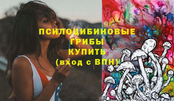 spice Карталы
