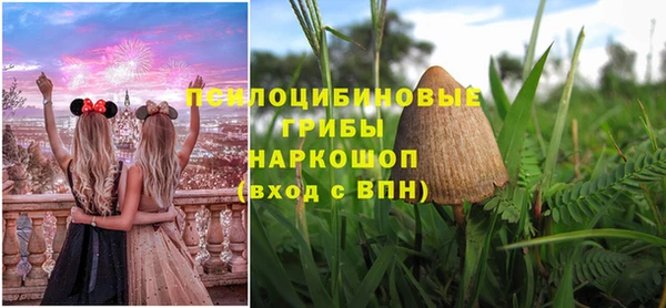прущая мука Каменногорск