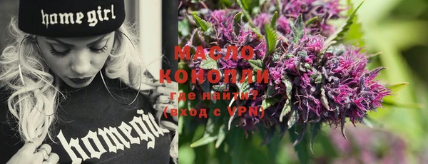 молекула духа Каменка