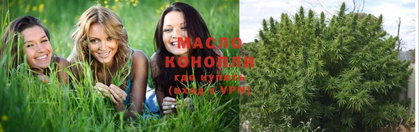 молекула духа Каменка