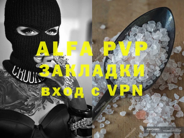 молекула духа Каменка