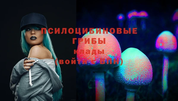 молекула духа Каменка